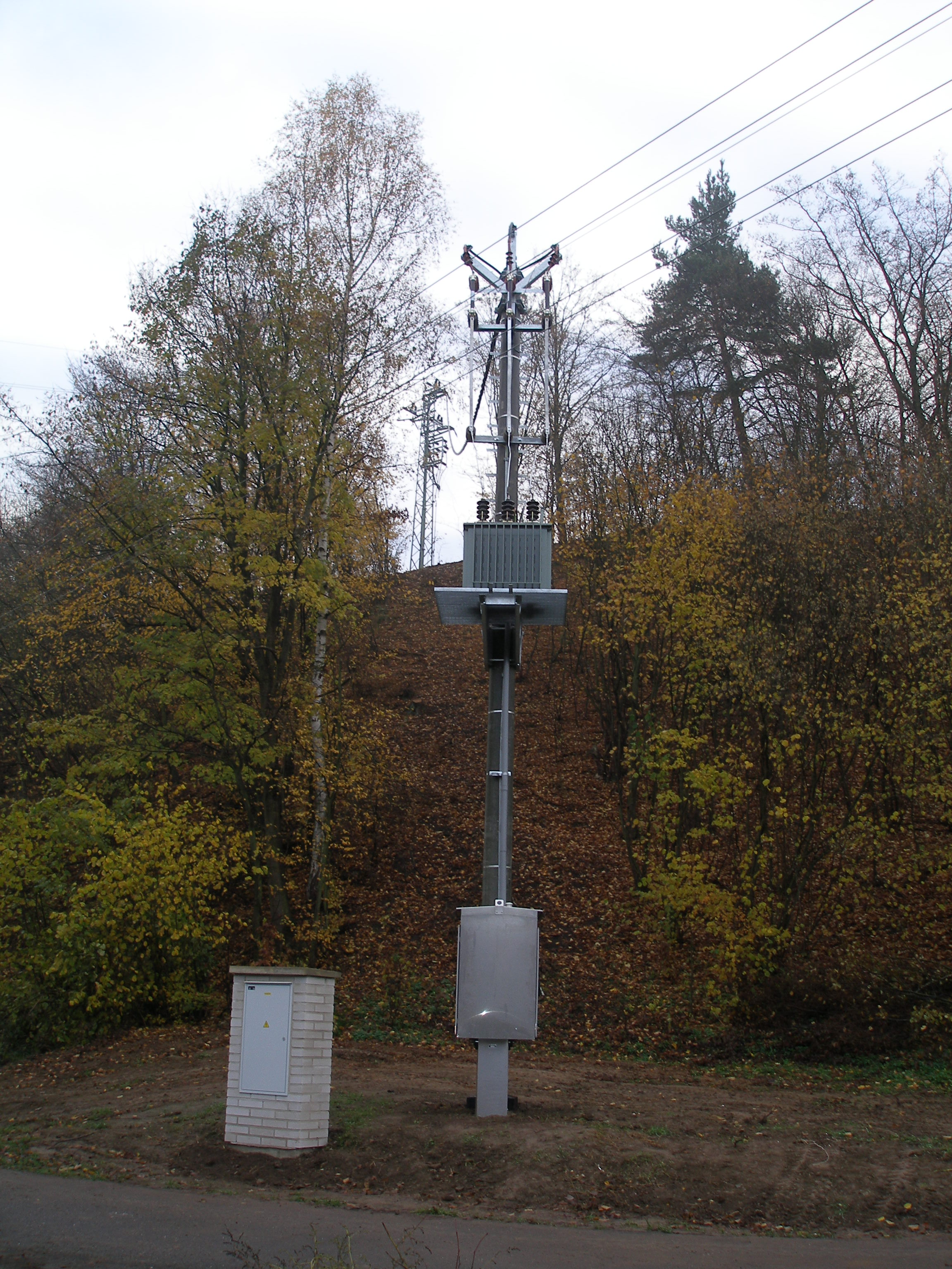 P1010013.JPG